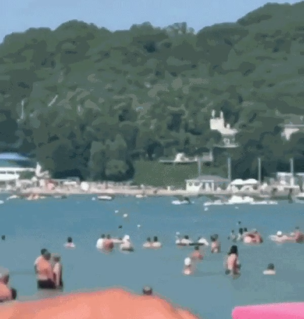 videoframe_902